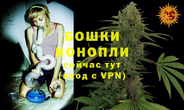 амф Новодвинск