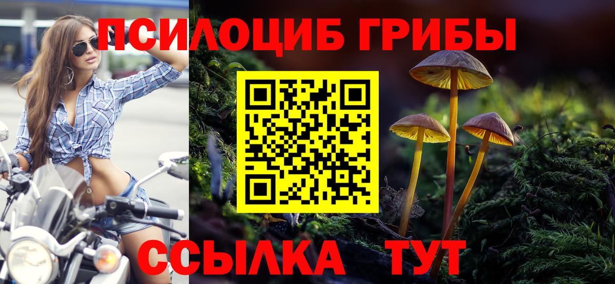 Галлюциногенные грибы Cubensis  закладки  Карталы 