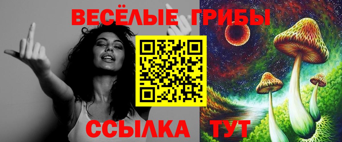 Псилоцибиновые грибы прущие грибы Карталы